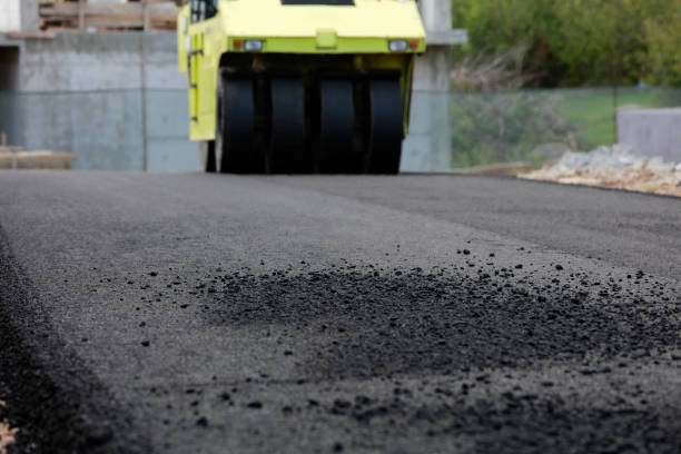 Best Concrete Paver Driveway  in Alamo, NV