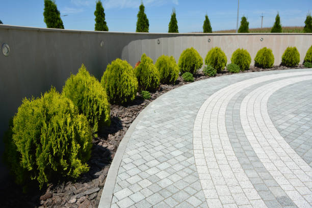 Best Driveway Pavers Near Me  in Alamo, NV