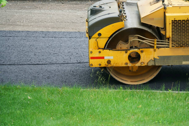 Best Interlocking Driveway Pavers  in Alamo, NV